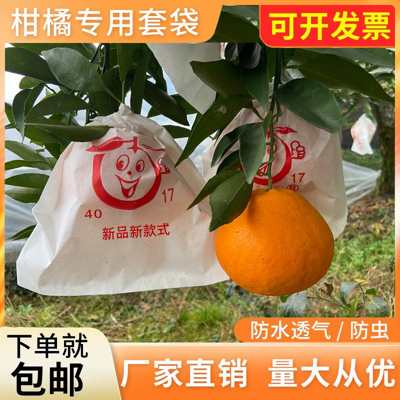 春见耙耙柑专用套袋 柑橘果袋 不知火丑橘脐橙防虫防水防鸟育果袋