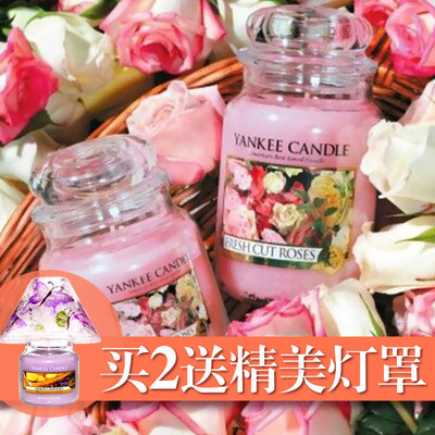 扬基无烟精油进口玻璃杯香薰蜡烛