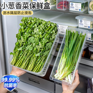 日本香菜小葱专用收纳盒冰箱备菜抗菌神器大蒜葱姜蒜食品级保鲜盒