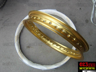 捷安特GLM友生UNISON前1.6 18铝合金轮圈DOT摩托车配件 21后2.15