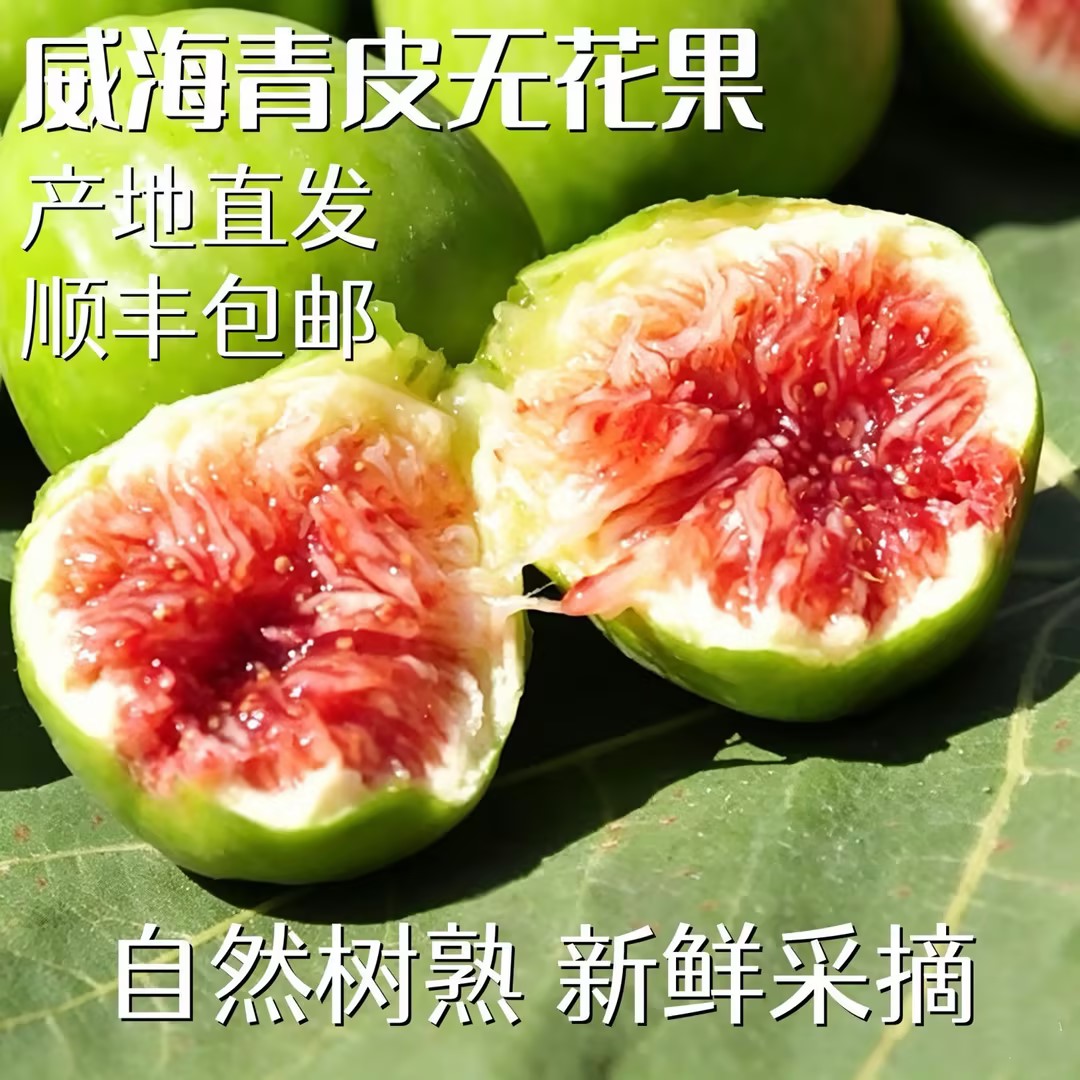 山东威海青皮无花果鲜果现摘现发流蜜大果顺丰包邮孕妇营养水果