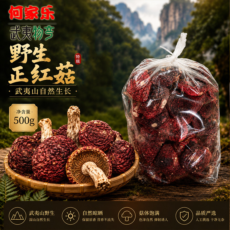 何家乐福建武夷山特级红菇正宗天然野生红菇干货大菇红蘑菇500g