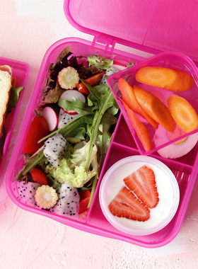 新西兰sistema餐盒 多格分层三明治盒 露营水果蔬菜沙拉盒 午餐盒