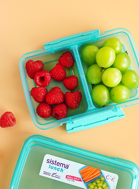新西兰进口 sistema水果保鲜盒2分格 户外零食点心盒350ml