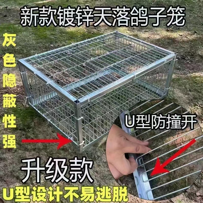 鸽子撞门鸽子活络门笼撞门鸽笼铁笼只进不出跳笼天落笼撞门自动门