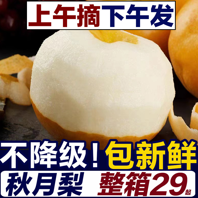 山东莱阳秋月梨新鲜水果又脆又甜