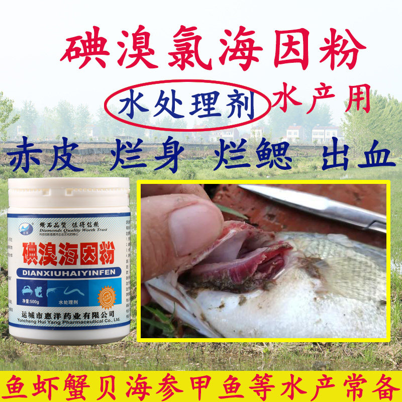 碘溴氯海因粉水产养殖小龙虾螃蟹甲鱼塘赤皮出血红体烂鳃腐皮鱼病