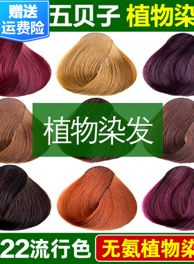 五倍子天然植物染发剂纯黑色亚麻色栗棕色板栗色紫色染发膏不伤发