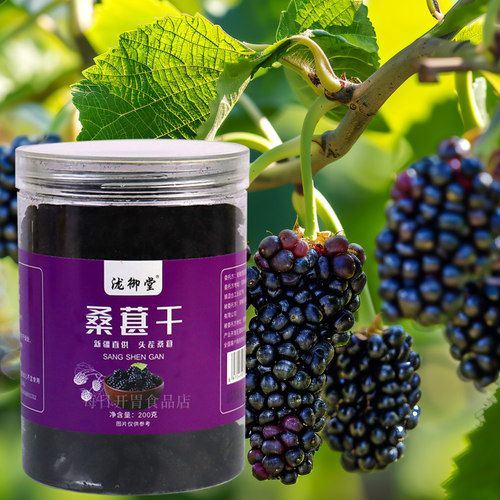 桑葚干黑桑椹优选泡茶泡水喝