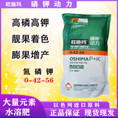 磷钾动力 素水溶肥料正品 海法水溶肥高磷高钾高氮冲施肥正品 大量元