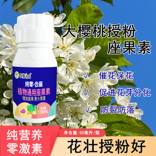 车厘子授粉药 大樱桃授粉座果灵 防落果保花保果叶面肥果树促花肥