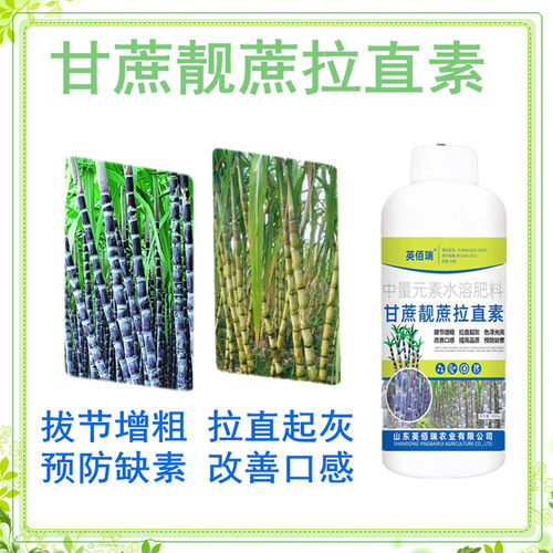 肥料甘蔗增粗拉长灵增甜剂