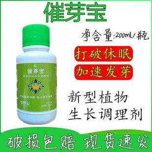 果树专用催芽高抽枝宝苹果猕猴桃树樱桃催芽剂茶叶催芽发枝素效