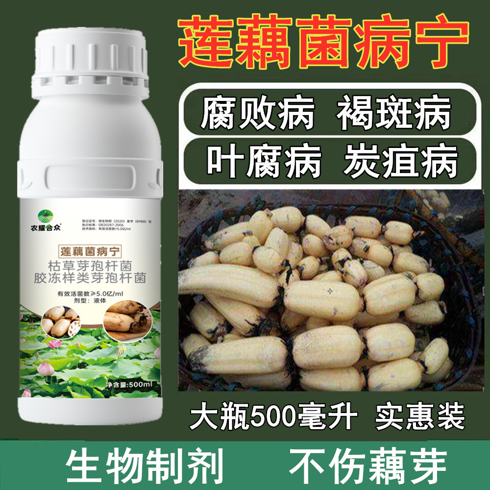 莲藕杀菌剂藕田病害专用药