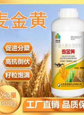 肥料小麦叶面肥麦黄金返青矮壮素