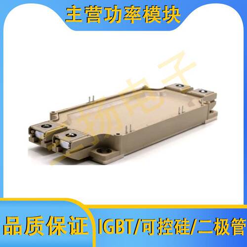 IGBT模块BG900/600/450B12L33S6拍前询
