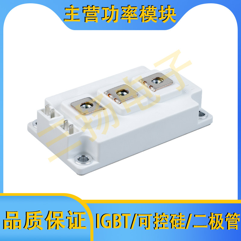 IGBT模块MMG450/400/300/200/150/100D120B6TC 060/170B6TC拍前询