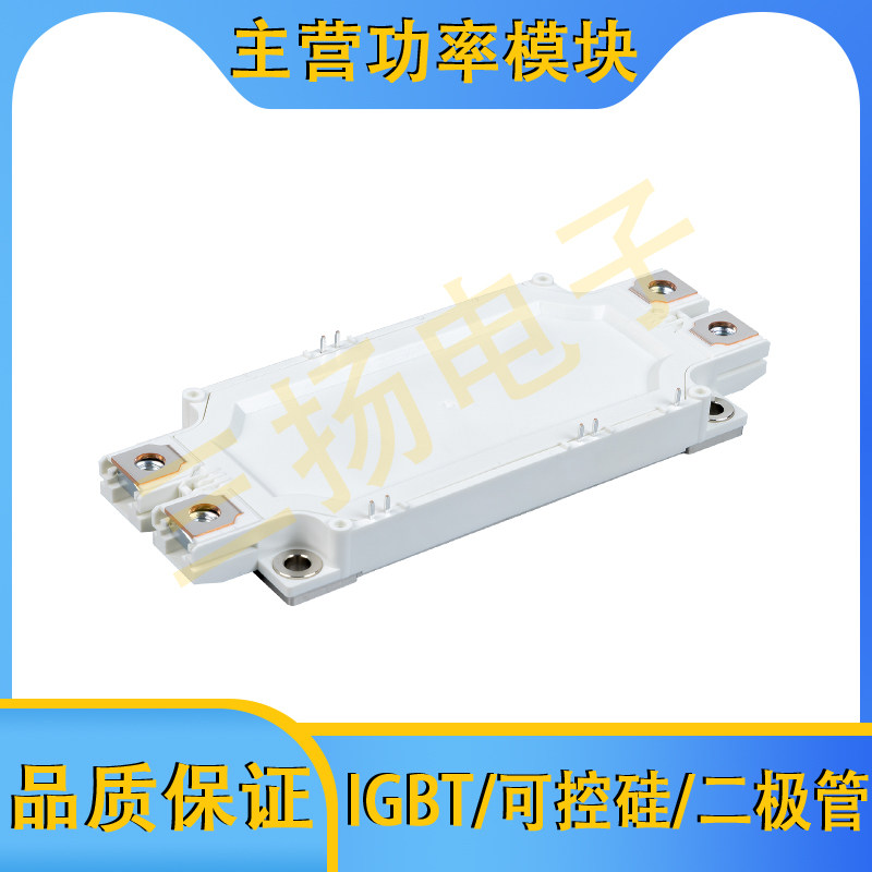 IGBT模块MMG600/450/300WB120B6TC 120B6T6_W11 170B6T6拍前询