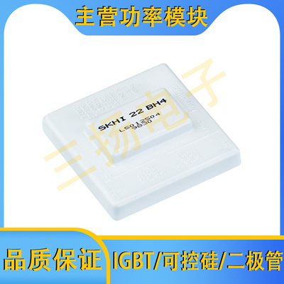 驱动板SKHI22AH4R SKHI22BH4R SKHI21AR拍前询