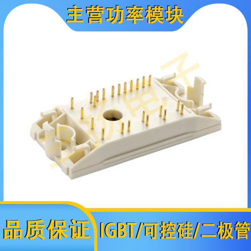 IGBT模块GD50MLX65F1S GD30MLX65F1S_B22拍前询