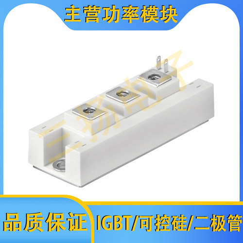 IGBT模块SKM100GB125DN拍前询
