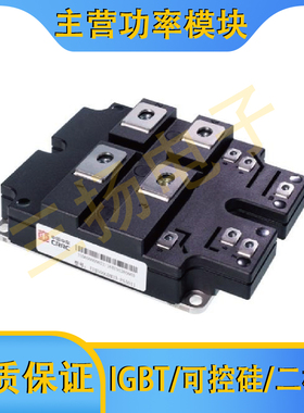 IGBT模块TIM500GDM33拍前询