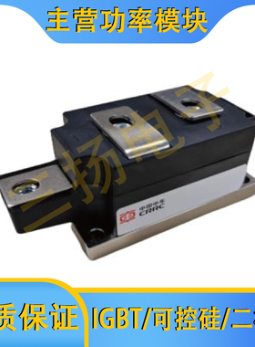 双极模块TMDD360-22 TMTC330-18 TMDD320-34拍前询