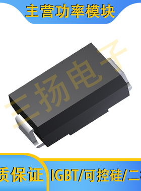 肖特基二极管ECQS/ECHS30/21/20A/QS/QSA/HB/HA065/20-F/L拍前询