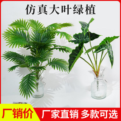 仿真植物散尾葵北欧风龟背叶摆件