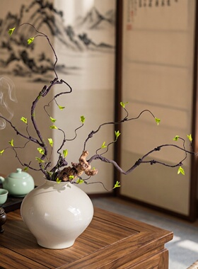 掬涵仿真绿植苔藓树藤室内挂墙藤蔓茶室禅意插花摆设高级感摆件