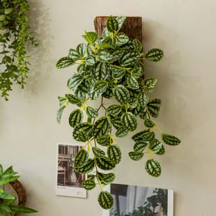 垂吊植物仿真绿植常春藤假绿植假花藤蔓壁挂仿生植物悬挂吊兰植物