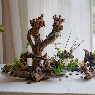 天然原木树根摆件枯木根雕手工艺术装饰品禅意插花微景观造景摆设