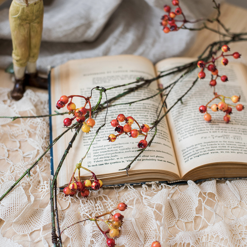仿真野莓果子藤条花藤缠绕装饰
