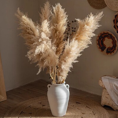 天然芦苇干花装饰造景花束摆件
