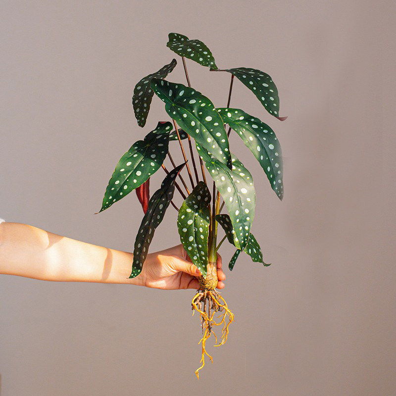 仿真绿植造景垂吊植物装饰假绿植小型叶子仿生热带植物仿真花假花