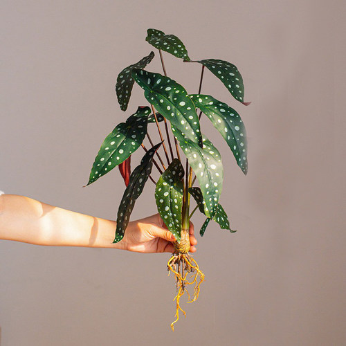 仿真绿植叶子假花热带植物摆件
