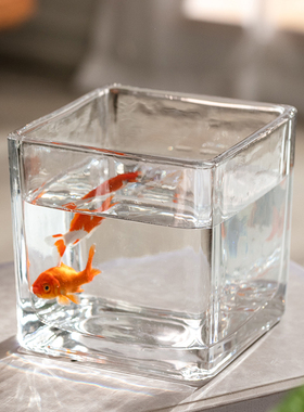 简约方形花瓶水培玻璃器皿迷你鱼缸水养容器小型桌面装饰造景摆件