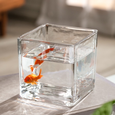 桌面造景小摆件迷你鱼缸微景观