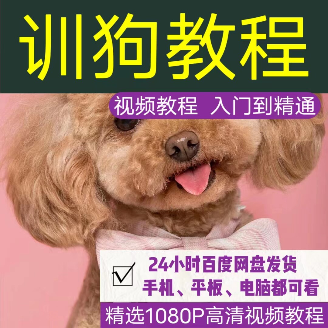 训狗教程视频课程泰迪金毛拉布拉多零基础自学排便幼犬恶习训练法