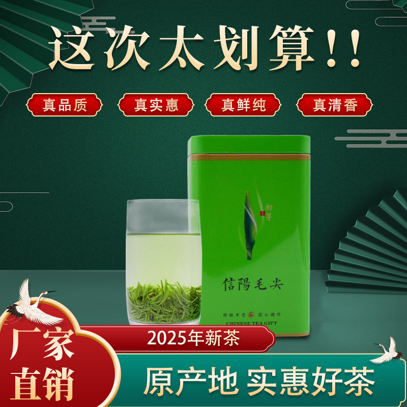 信阳毛尖绿茶黑龙潭高山茶叶二级雨前口粮茶一芽一叶新茶 250g/盒