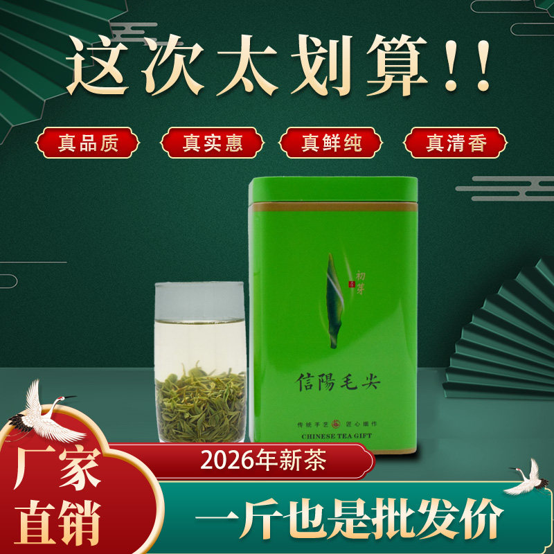明前春茶信阳毛尖100g/盒 黑龙潭核心产区高山花香特级小芽