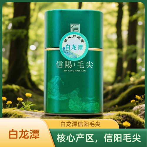 白龙潭明前信阳毛尖一级芽茶