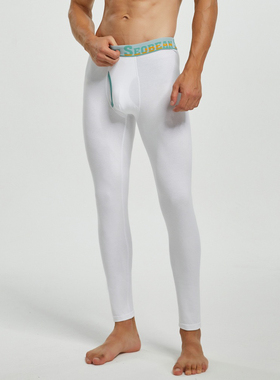 青叔220403  秋冬秋裤纯色紧身薄款棉氨男士保暖秋裤修身打底线裤