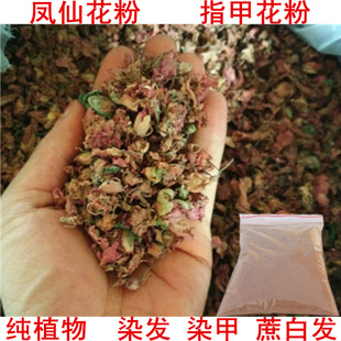 生态染指甲花凤仙花桃红指甲草花透骨草酒金花茶凤仙花粉染头发