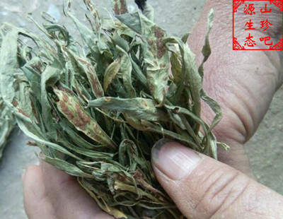 马蹬草 过桥草 还阳草 小石韦 宝天曼原始森林 野生天然 名贵药材
