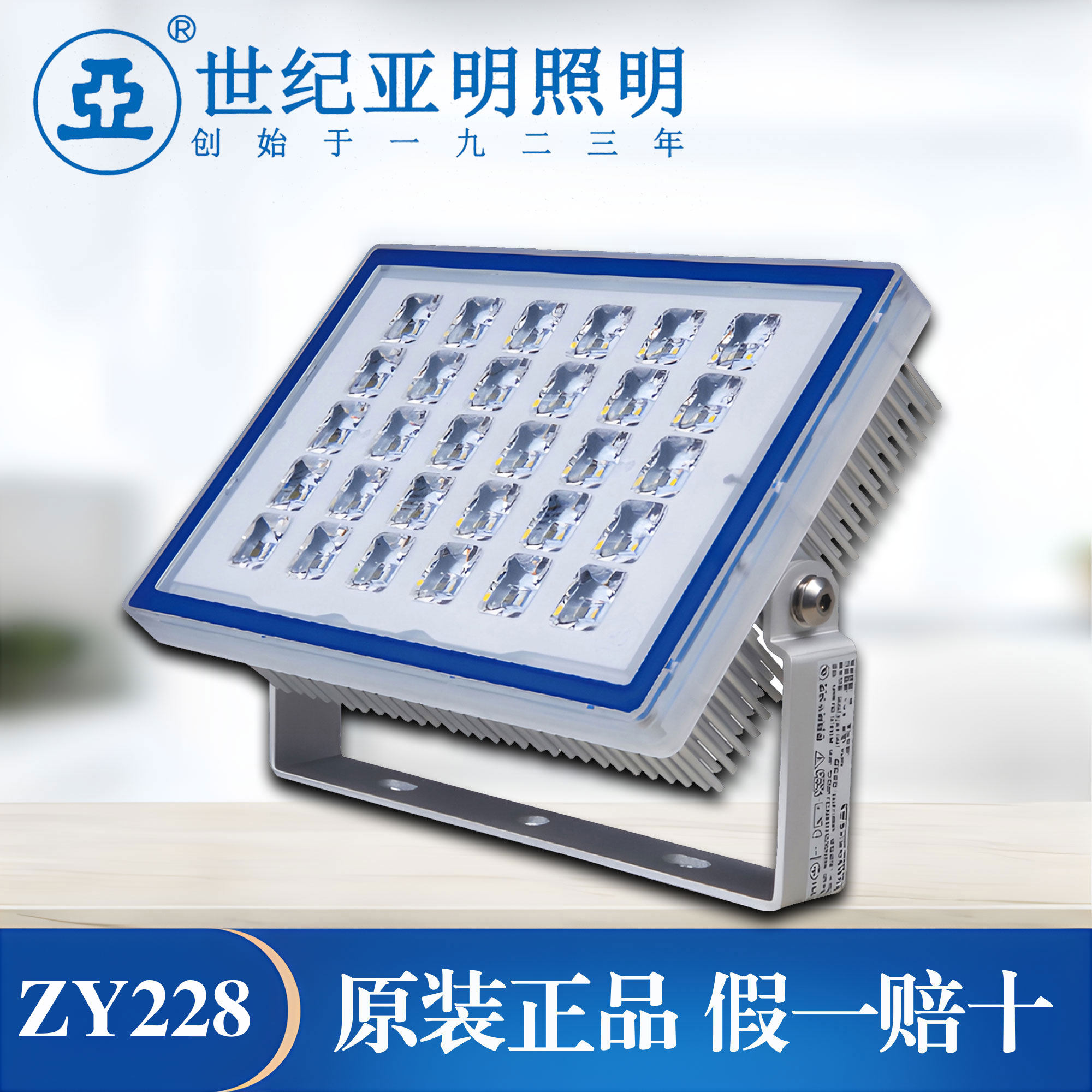 上海世纪亚明ZY228泛光灯