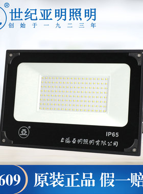 上海世纪亚明ZY609亚牌投光灯户外广场球场绿化照明防水LED泛光灯