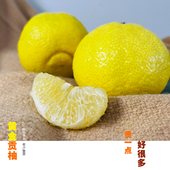 包邮 湖南怀化黄金贡柚春香桔柚象山青纯甜当季 新鲜水果高维C柚子
