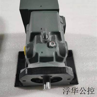 现货S-PV2R14-19-153-F-REAA-40原装油研油泵