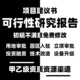 代写可行性研究报告可研报告编制实施方案立项申报申请项目建议书